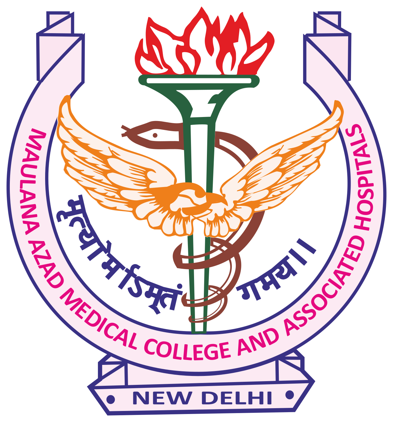 Maulana Azad Medical College logo