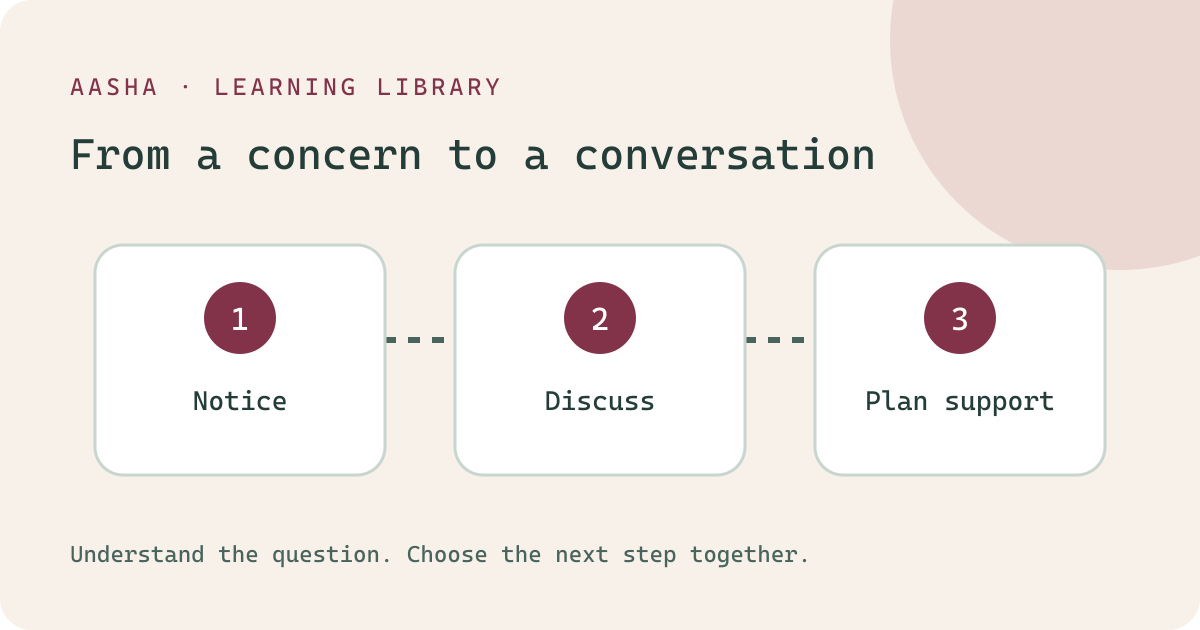 A pathway from noticing an observation to discussing it and planning support.